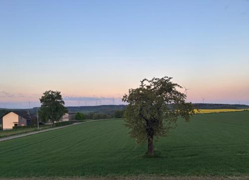 a tree in the middle of a green field at Ferienwohnung am Kräutergarten im Hunsrück 