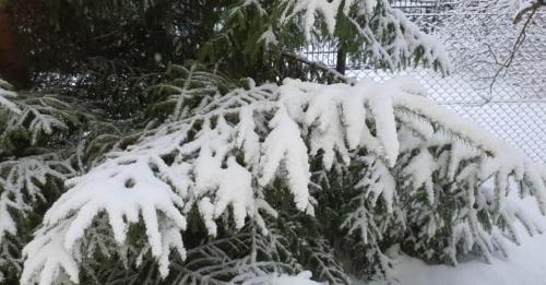 Appartement de 45 m2 v zimě