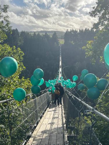 Příroda nedaleko prázdninového domu