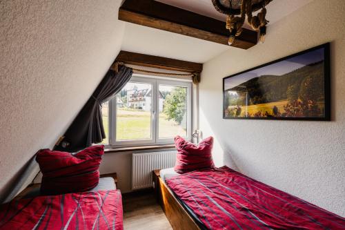 a room with two beds with red pillows and a window at Ferienhaus Lärchenblick in Kurort Altenberg