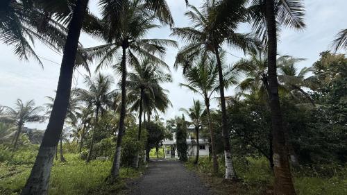 Příroda nedaleko vily