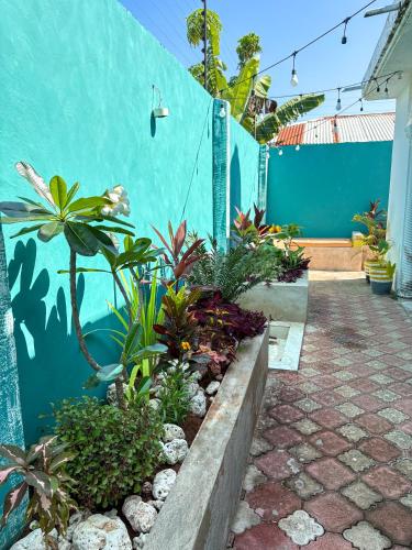 Zahrada ubytování Tropicana Villa Nungwi