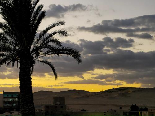 Příroda nedaleko rezortu