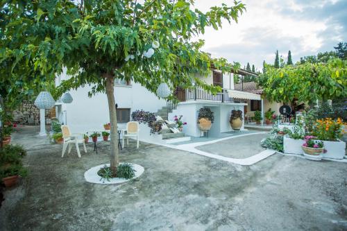 Κήπος έξω από το XENIA Boutique