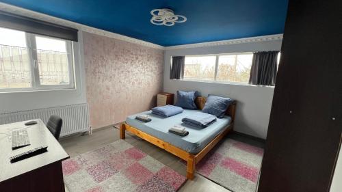una camera da letto con un letto con pareti e finestre blu di Smart Stay a Craiova