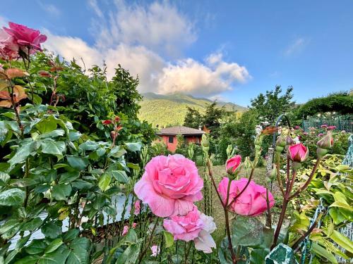 B&B La Piazzetta