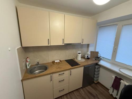 Η κουζίνα ή μικρή κουζίνα στο Lomanosav Cozy Apartametn