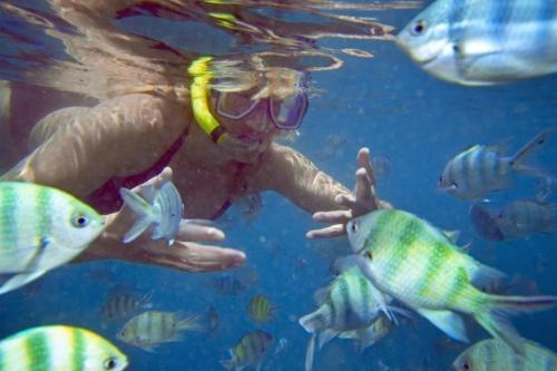 een persoon die met vis in het water zwemt bij Flora Bay 1 in Perhentian Island