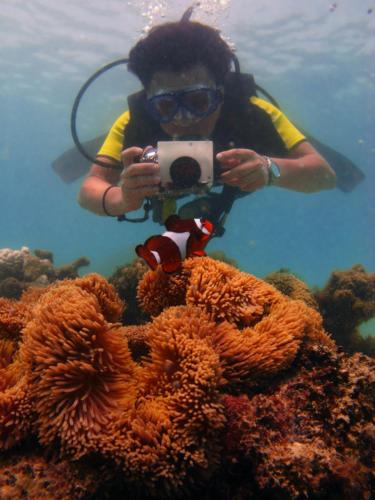 a person taking a picture of a coral reef at Flora Bay 1 in Perhentian Island