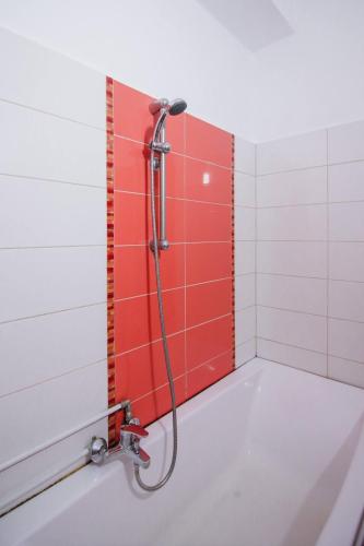 a shower in a bathroom with a red wall at Cozy central apartament in Craiova