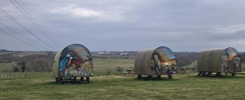 three large domes with paintings on them in a field at Stone Circle Glamping in Durrington