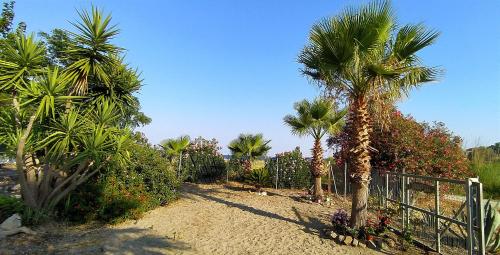 Billede fra billedgalleriet på Mareliva Retreat 