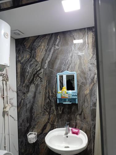 a bathroom with a sink and a toy car on the wall at Asian Guest House in Bishkek