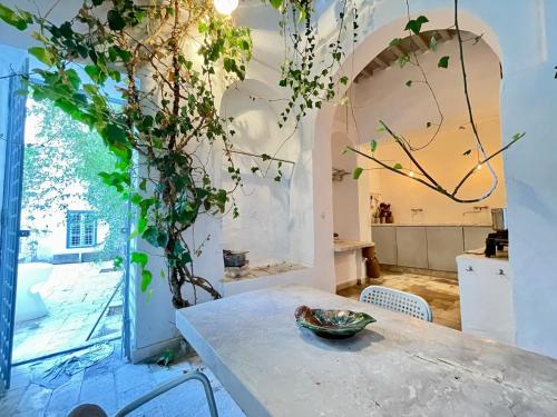 Suite John Pawson Dar Kiki Medina, Tunis في تونس: غرفة مع طاولة عليها وعاء