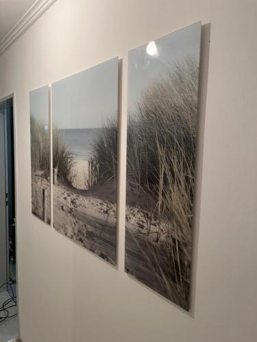 Fotografie z fotogalerie ubytování "An der alten Mühle 2" - Fewo 80qm, zentral gelegen, zwei Schlafzimmer, Südterrasse und Wallbox v destinaci Bad Bentheim