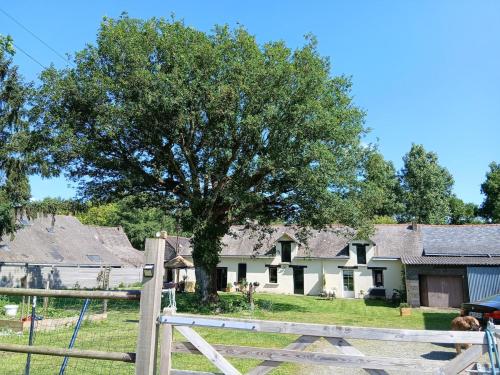 un árbol frente a una casa con una valla en Studio indépendant T1, entre Nantes et Rennes, en Conquereuil