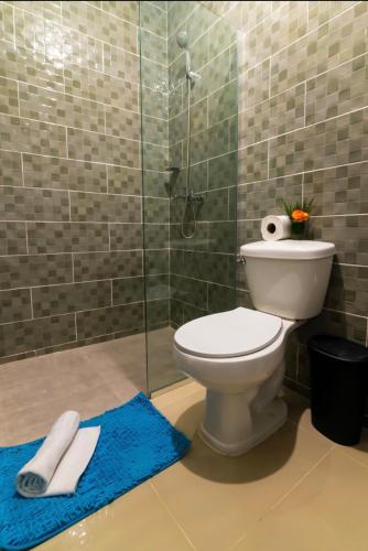a bathroom with a toilet and a glass shower at Elida Oceanfront Rentals in Cantabria