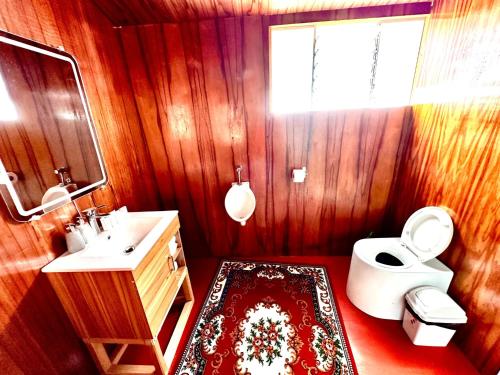 a bathroom with a toilet and a sink and a mirror at Titicaca Samay Lodge Perú in Puno