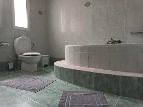 une salle de bain avec baignoire et toilettes dans l'établissement Theonimfi Villa for 5 with pool and Sea View, à Loutra Elenis