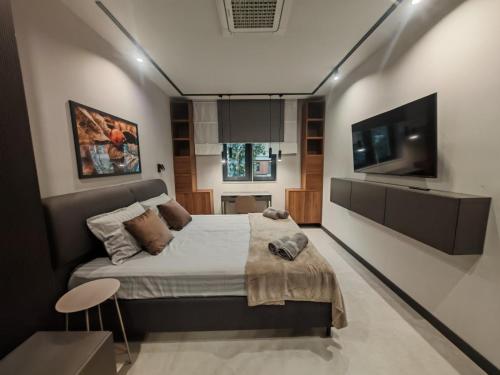 een slaapkamer met een groot bed en een flatscreen-tv bij Апартамент Александровска in Boergas