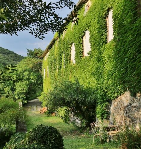 an ivycovered building with a bench in the yard at Le Moulinage de Saint Thome in Saint-Thomé