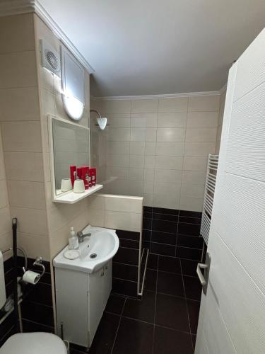 Ένα μπάνιο στο Garsoniera Rovine