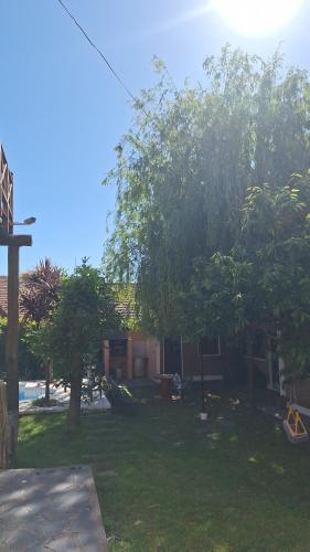 Κήπος έξω από το El sauce solo familia