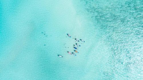 eine Gruppe von Menschen an einem Strand im Wasser in der Unterkunft Hostel 197 in Nungwi