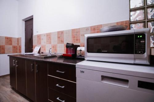 eine Mikrowelle auf einer Küchentheke in der Unterkunft Cozy central studio in Craiova