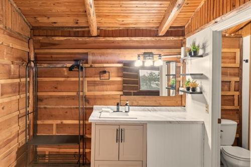 a bathroom with a sink and a toilet at Wooden suite #5 in Madill