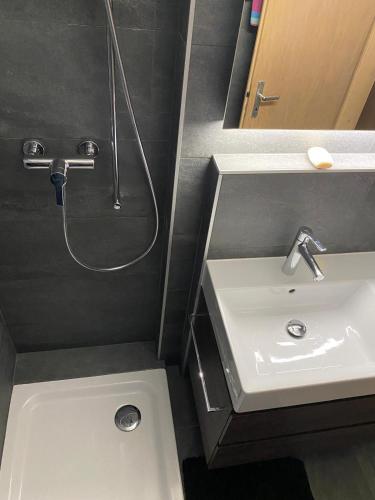 a bathroom with a sink and a shower at 4 Valleys Ski In in Nendaz