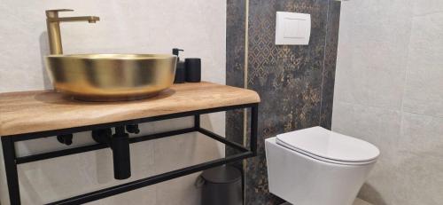 a bathroom with a bowl on a counter next to a toilet at Vila Mari in Tisno