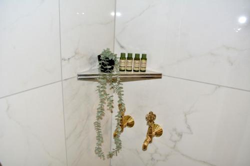 a shower with a shelf with bottles and plants at Ferienwohnung mit Free Parking in Romanshorn