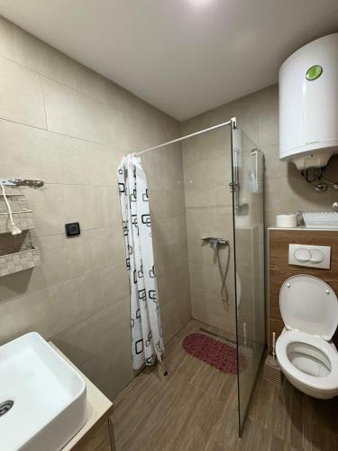 a bathroom with a shower and a toilet and a sink at Milmari apartman SAN-28 in Kopaonik