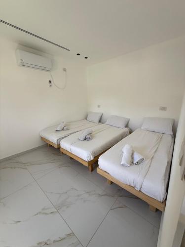 two beds in a room with white walls and marble floors at אחוזת תכשיט in Sifsufa