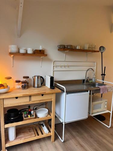 a kitchen with a counter and a sink and shelves at Cozy tiny house close to Schiphol Ams Airport in Rijsenhout