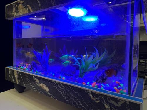 Afbeelding uit fotogalerij van Modern 2BHK ApartmentPool Netflix in Rawalpindi