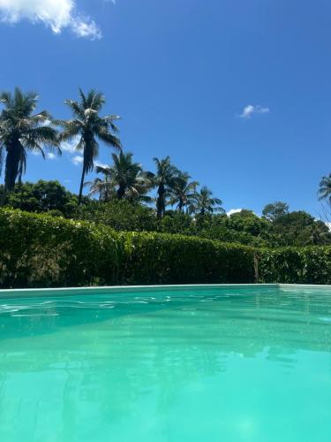 Ein Pool mit türkisfarbenem Wasser und Palmen im Hintergrund in der Unterkunft Chalé da Mata in Cachoeiras de Macacu