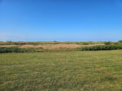 a field of grass with a giraffe in the distance at Cozy Beach House - By Traum Ferienwohnungen in Fjellerup Strand