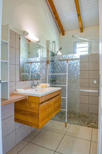 a bathroom with a sink and a shower at La Casita Verte vue sur mer & jardin tropical in Le Robert