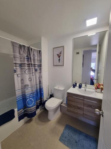 a bathroom with a toilet and a sink and a mirror at Agradable departamento en Papudo in Papudo