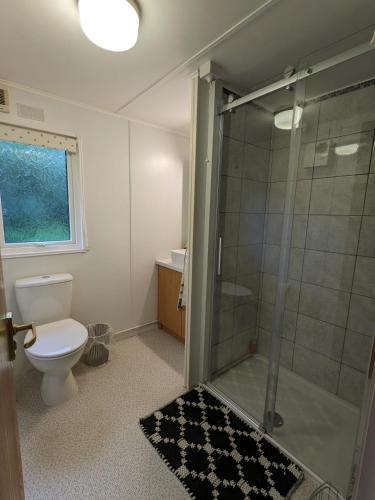 a bathroom with a toilet and a glass shower at Nyth y Dryw in Machynlleth