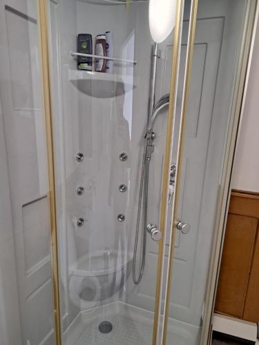 a shower with a glass door in a bathroom at Le Style Haussmannien in Tramelan