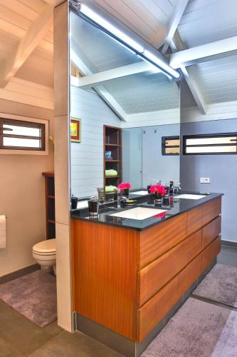 a bathroom with a sink and a toilet at Tropical cocoon with 2 bedrooms in Papeete