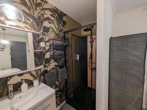 Ένα μπάνιο στο Charmant gîte PMR avec parking, 2 chambres, salles d'eau privatives - Accueil chaleureux - FR-1-611-103