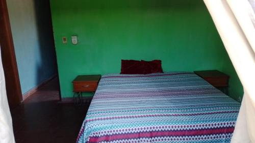 a green bedroom with a bed with a green wall at Casa Argentina in Limpio