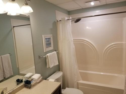 a bathroom with a shower and a toilet and a sink at Brighton guest suite in Boston