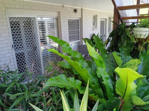 a garden in front of a house with green plants at Bonnys Bliss in Bonny Hills