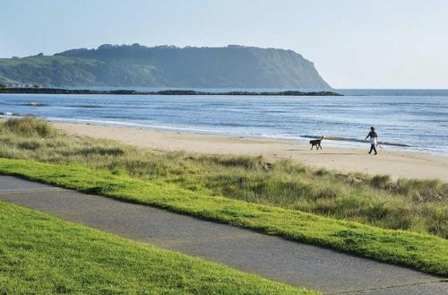 a person walking a dog on the beach at Stay - East Wynyard Beach in Wynyard