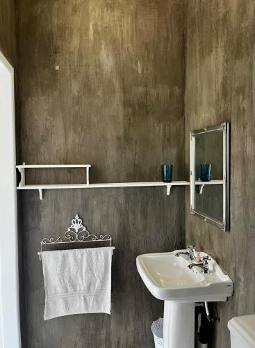 a bathroom with a sink and a mirror at Pepper Tree Guesthouse in Bloemfontein